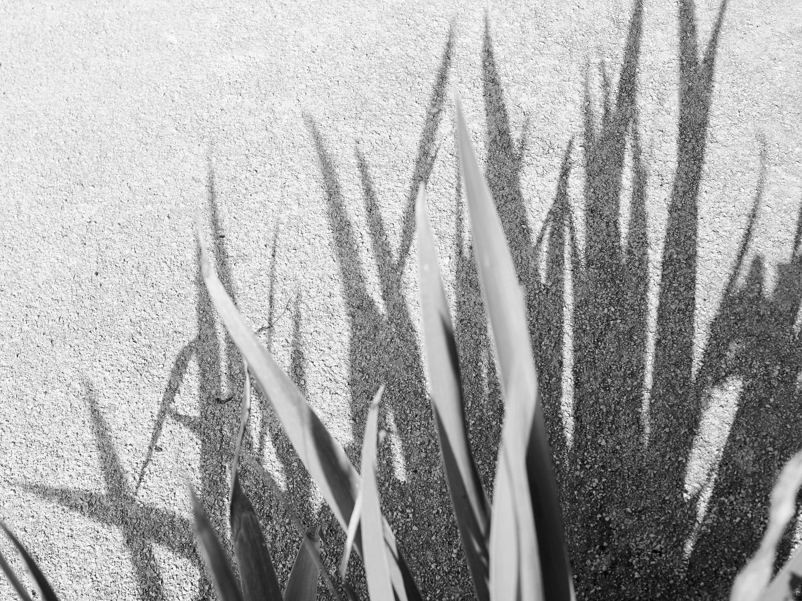 How to Know if My Skin is Purging