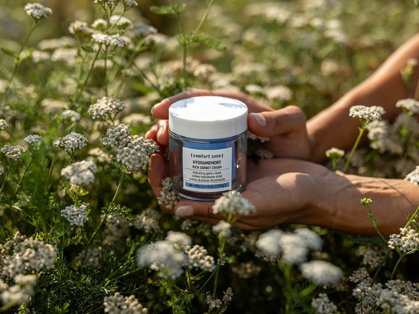 Hydramemory Rich Sorbet Cream